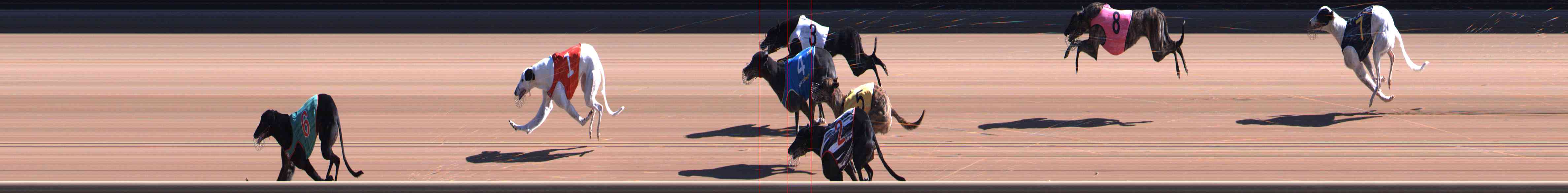 Photo finish for Healesville Race 4