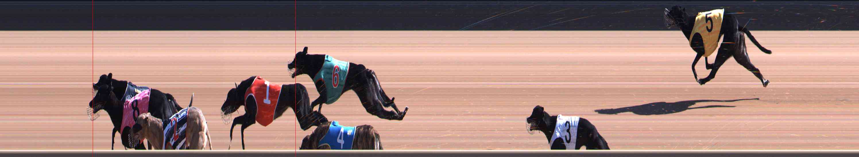 Photo finish for Healesville Race 5