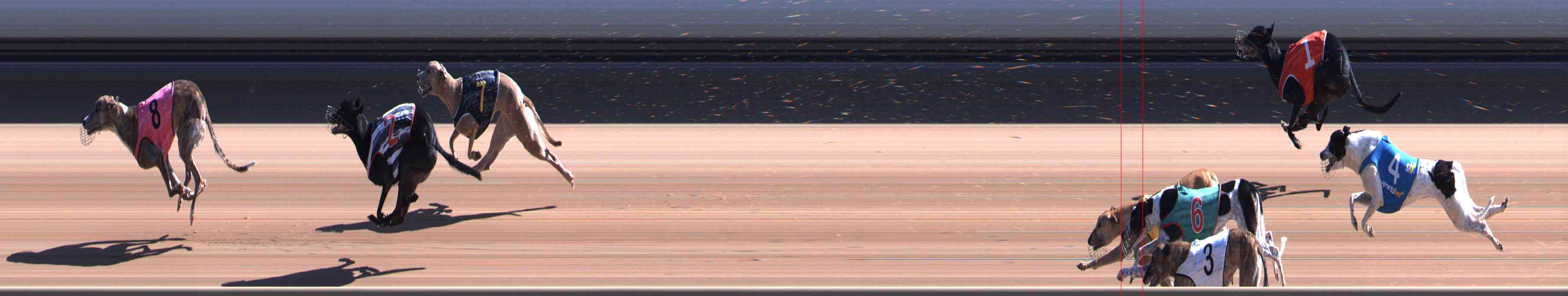 Photo finish for Healesville Race 6