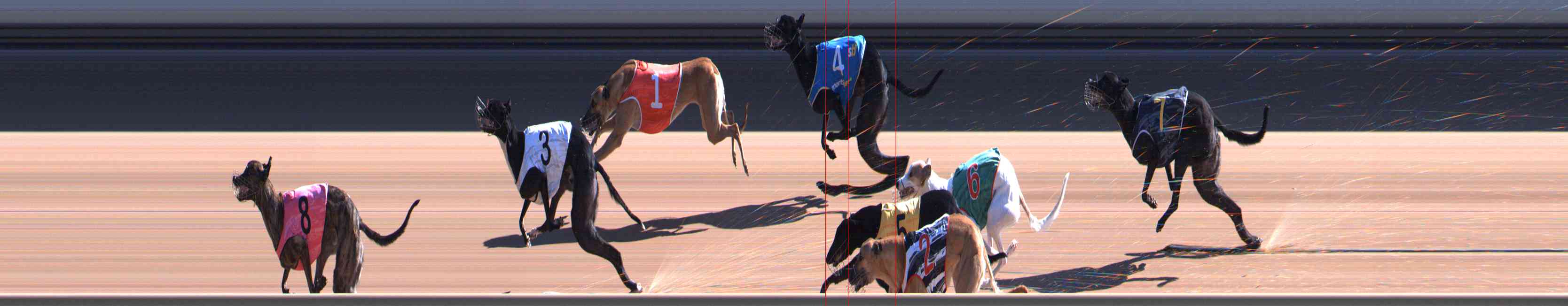 Photo finish for Healesville Race 7