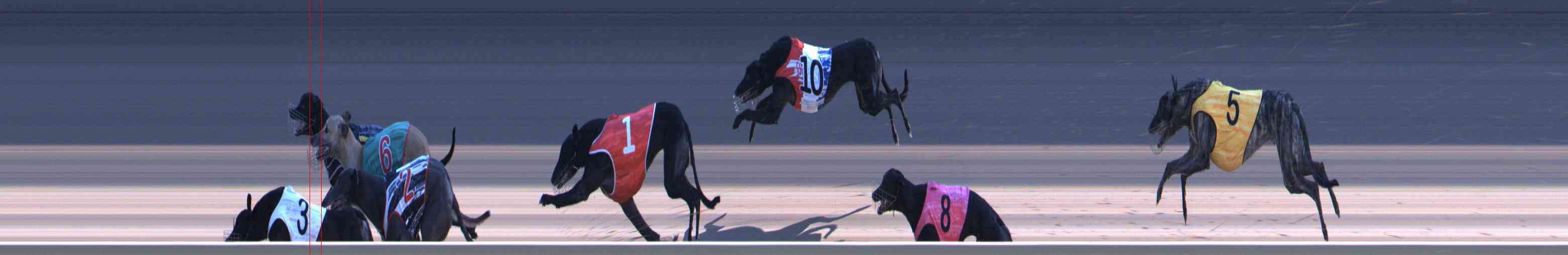 Photo finish for Healesville Race 10