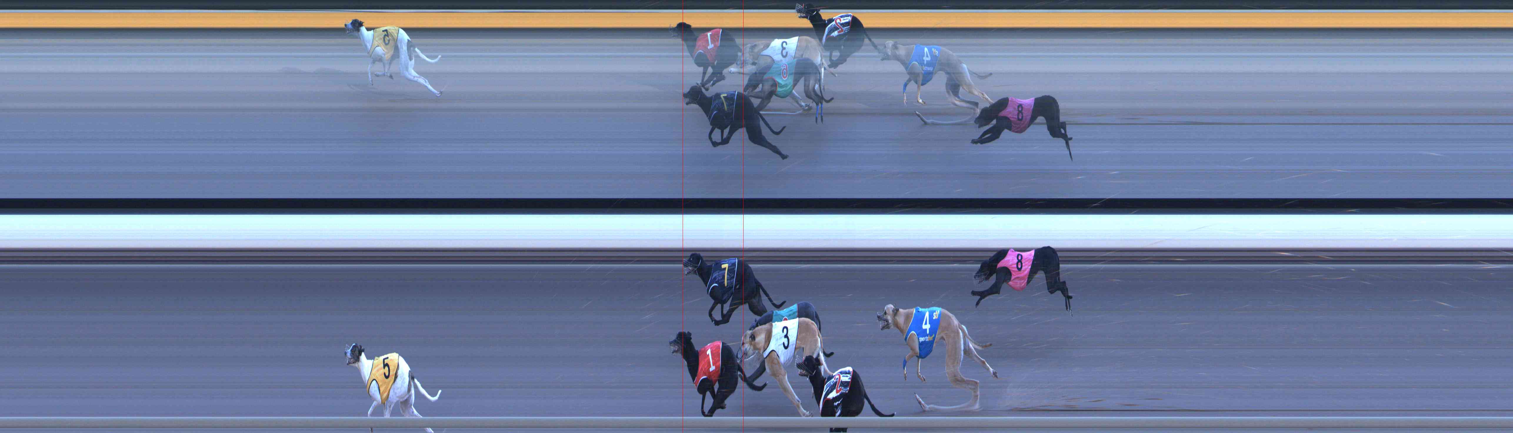 Photo finish for Healesville Race 12