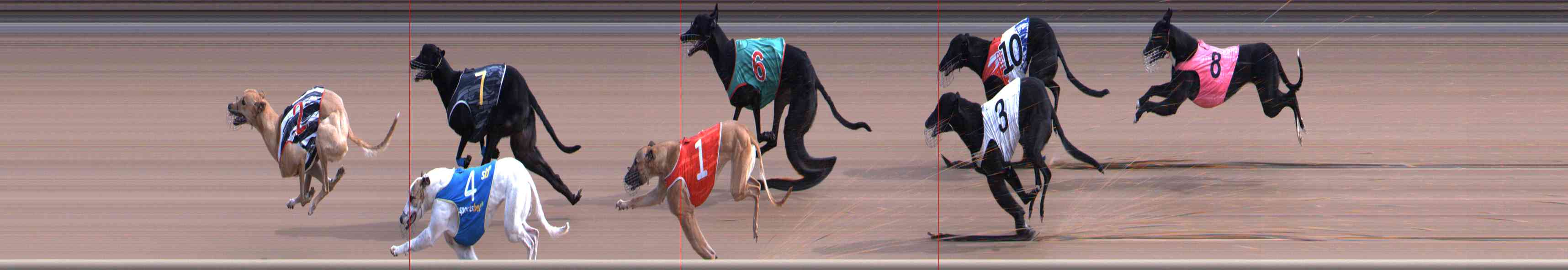 Photo finish for Healesville Race 2