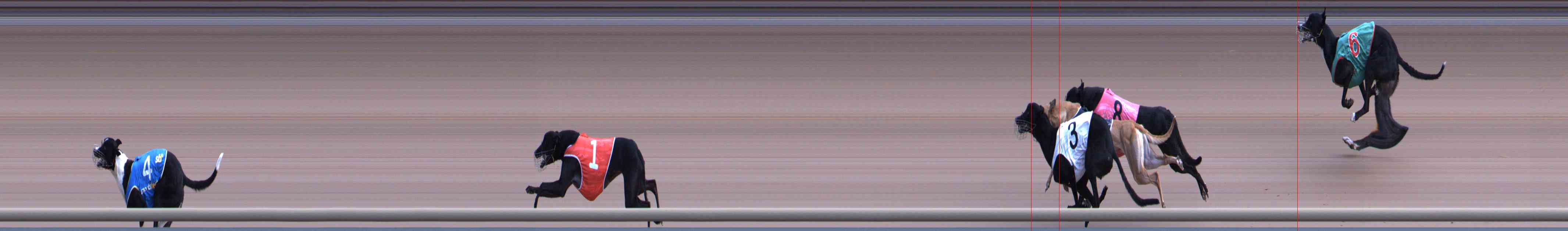 Photo finish for Healesville Race 3