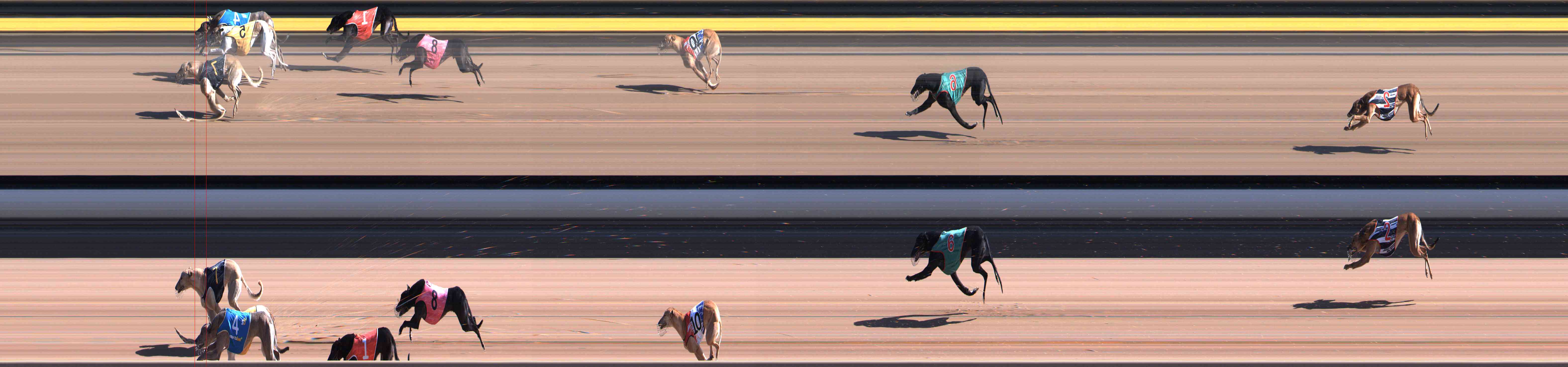 Photo finish for Healesville Race 5