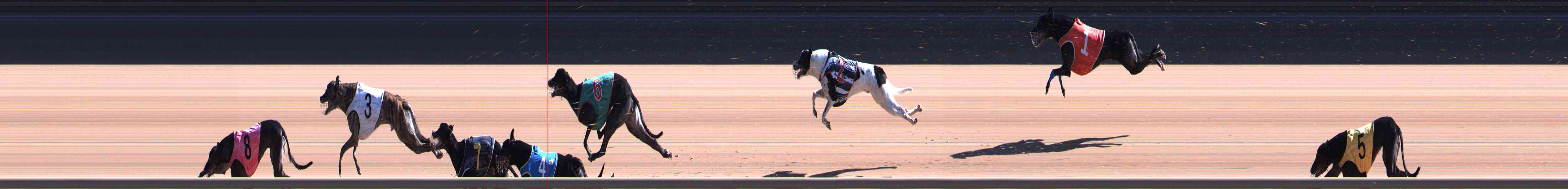 Photo finish for Healesville Race 6