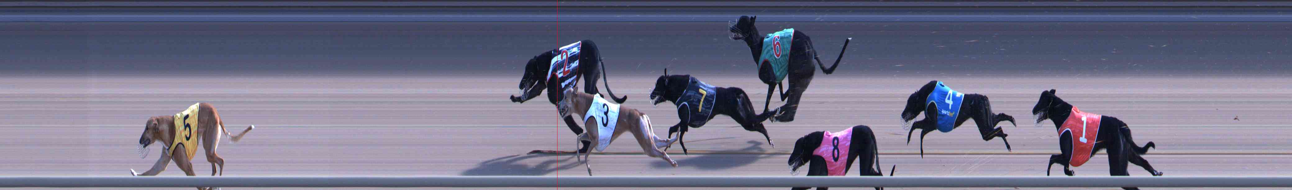 Photo finish for Healesville Race 7