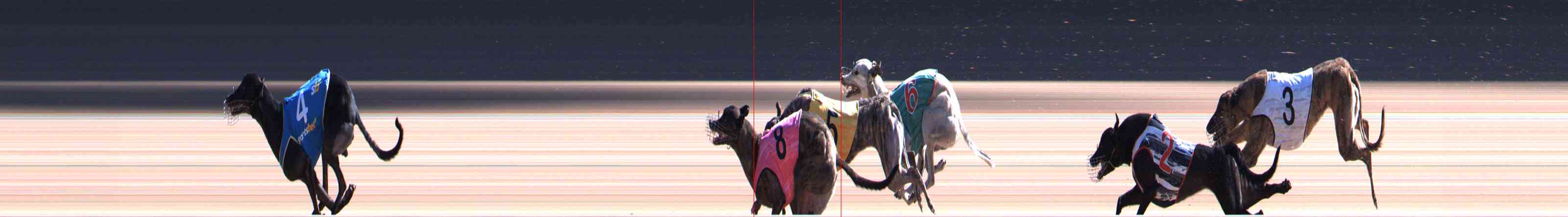 Photo finish for Healesville Race 8