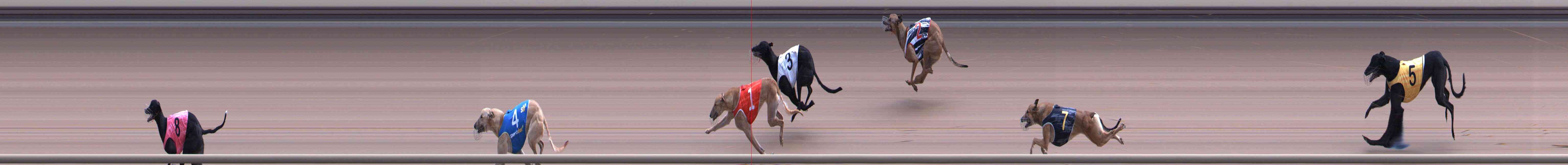Photo finish for Healesville Race 10
