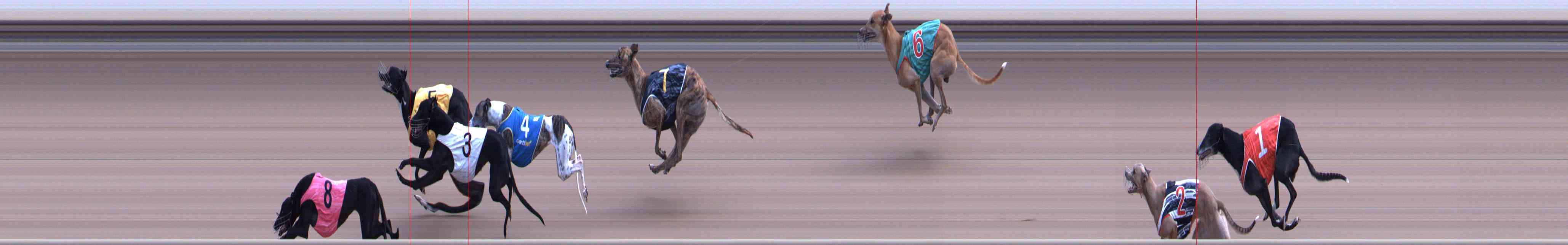 Photo finish for Healesville Race 11