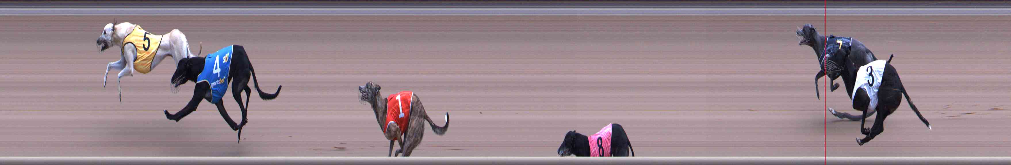 Photo finish for Healesville Race 12