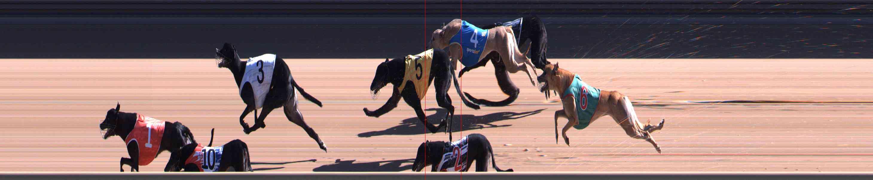 Photo finish for Healesville Race 6