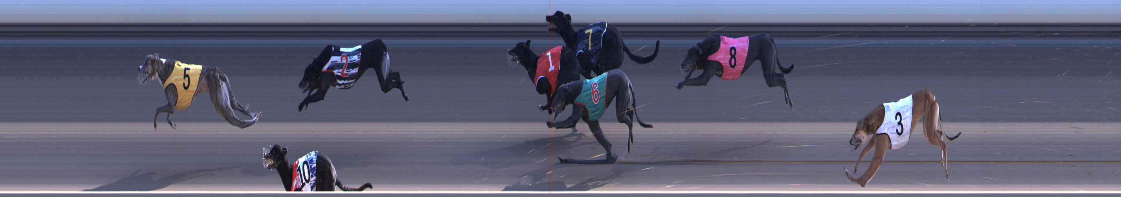 Photo finish for Healesville Race 9