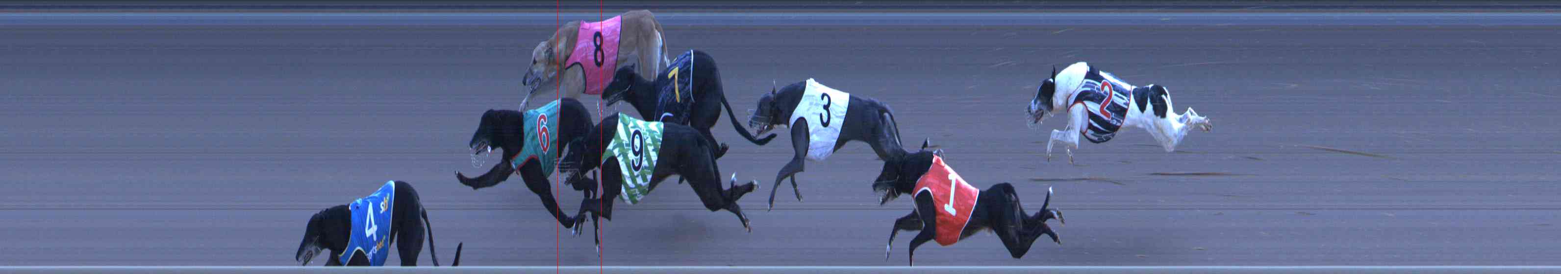 Photo finish for Healesville Race 12