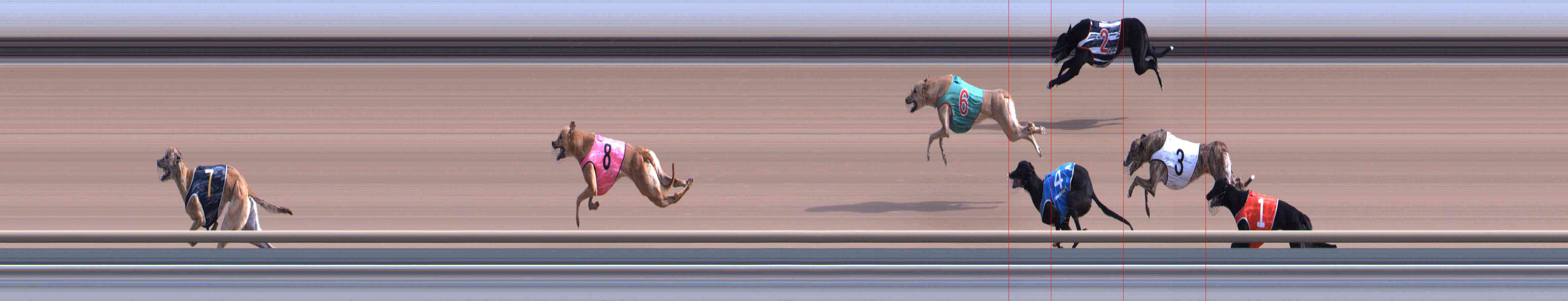 Photo finish for Healesville Race 2