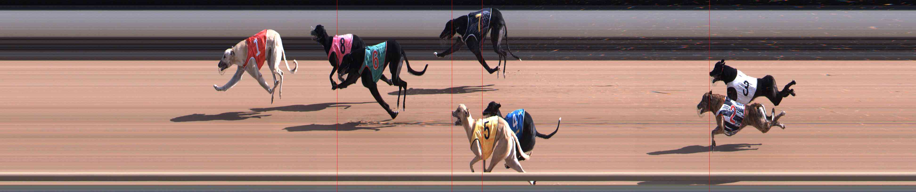 Photo finish for Healesville Race 3