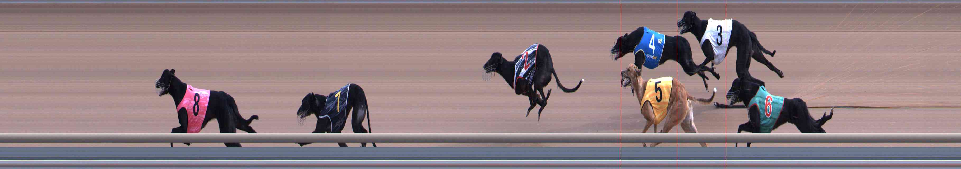 Photo finish for Healesville Race 4