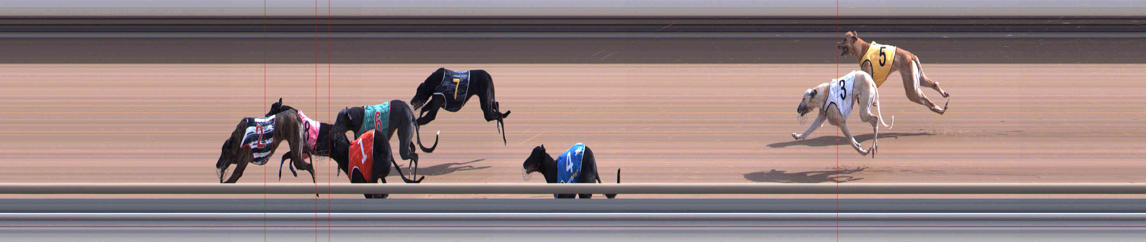 Photo finish for Healesville Race 5