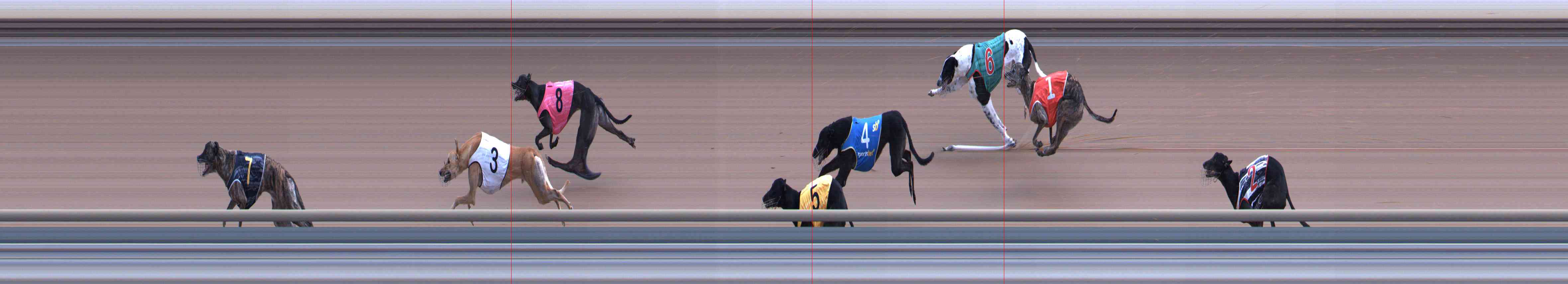 Photo finish for Healesville Race 6