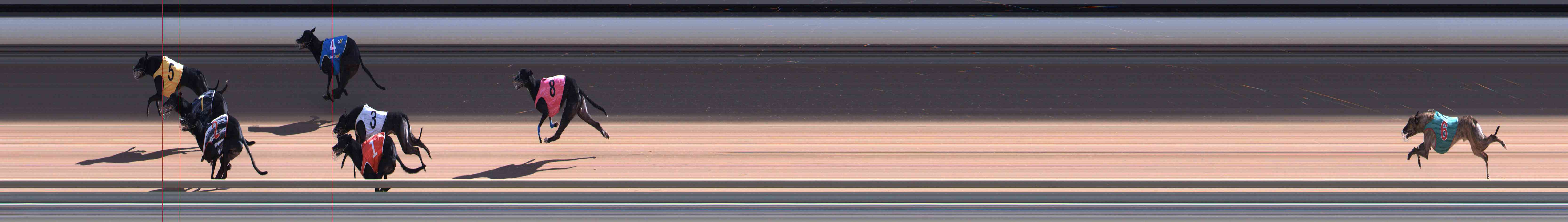 Photo finish for Healesville Race 8