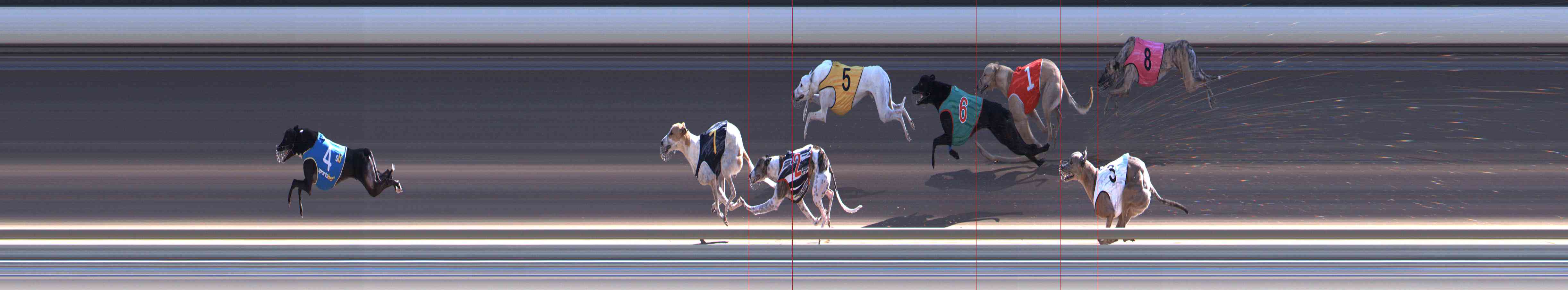 Photo finish for Healesville Race 9