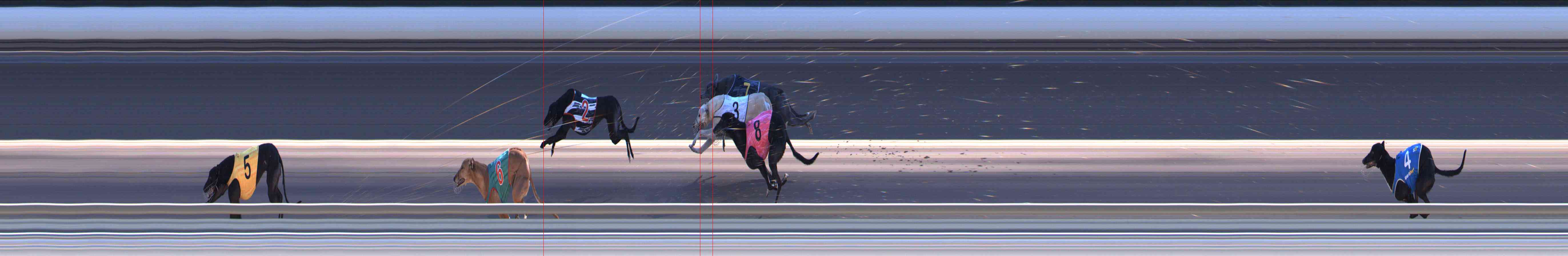 Photo finish for Healesville Race 10