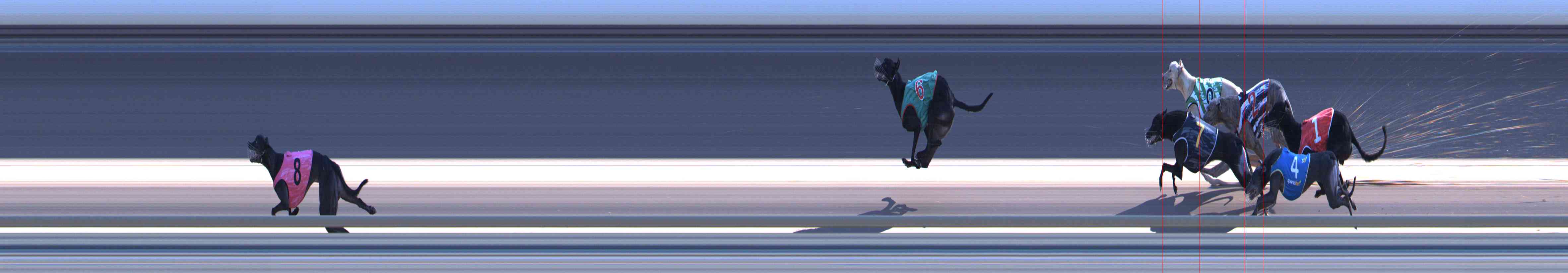 Photo finish for Healesville Race 11