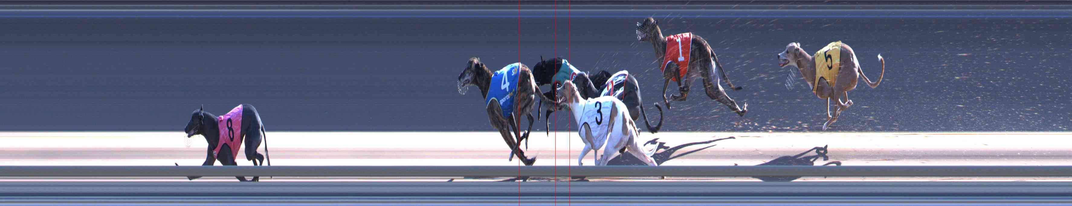 Photo finish for Healesville Race 12