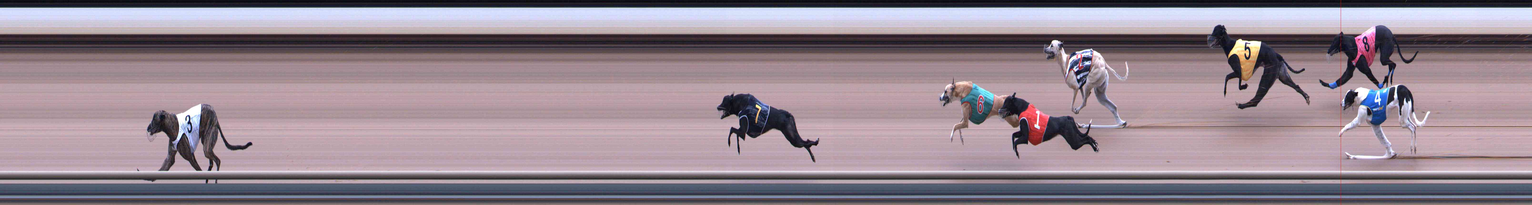 Photo finish for Healesville Race 2