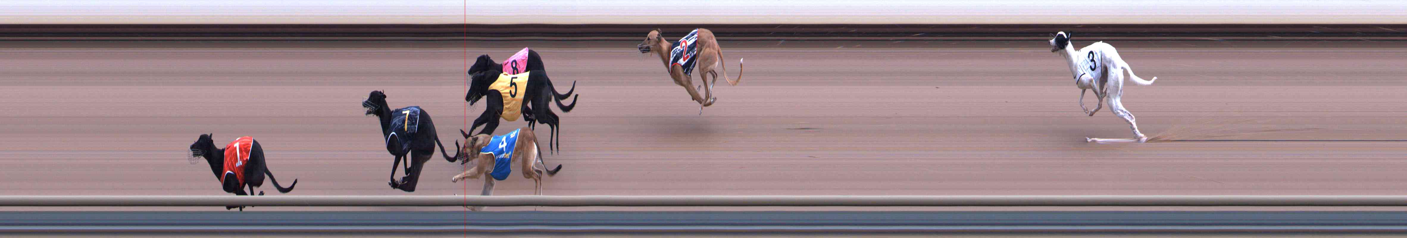 Photo finish for Healesville Race 3