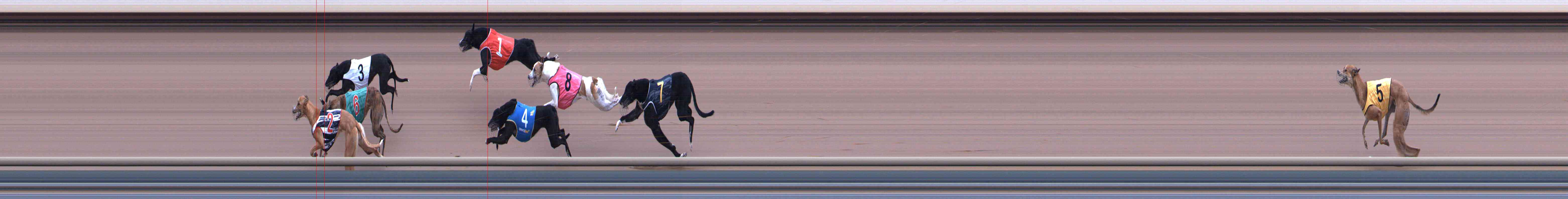 Photo finish for Healesville Race 4