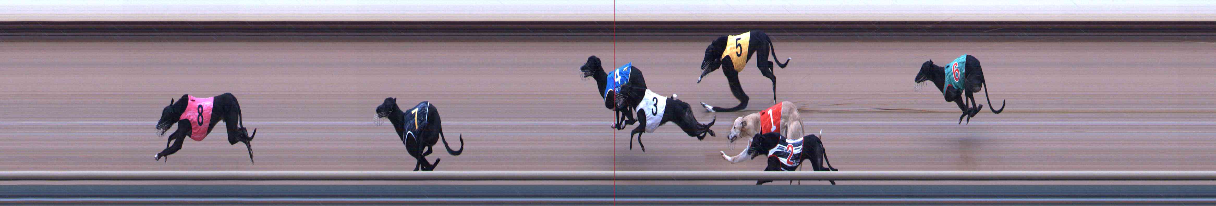 Photo finish for Healesville Race 5