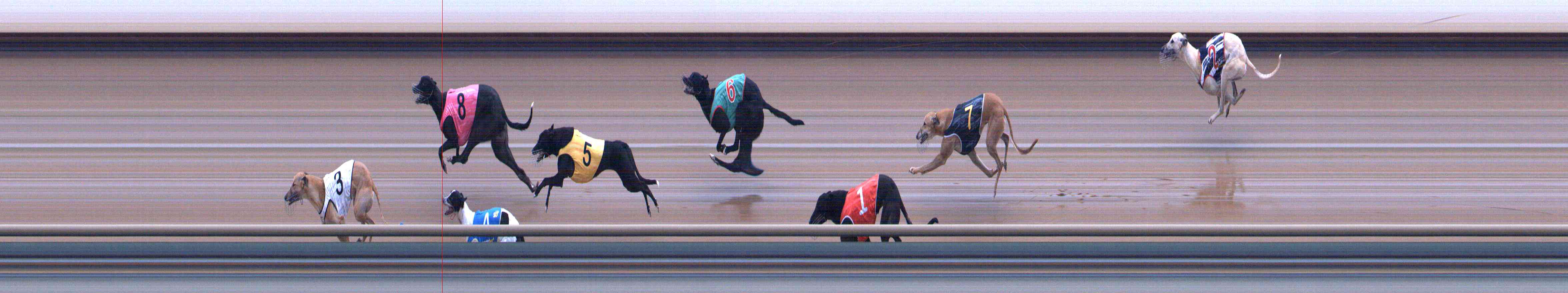 Photo finish for Healesville Race 6