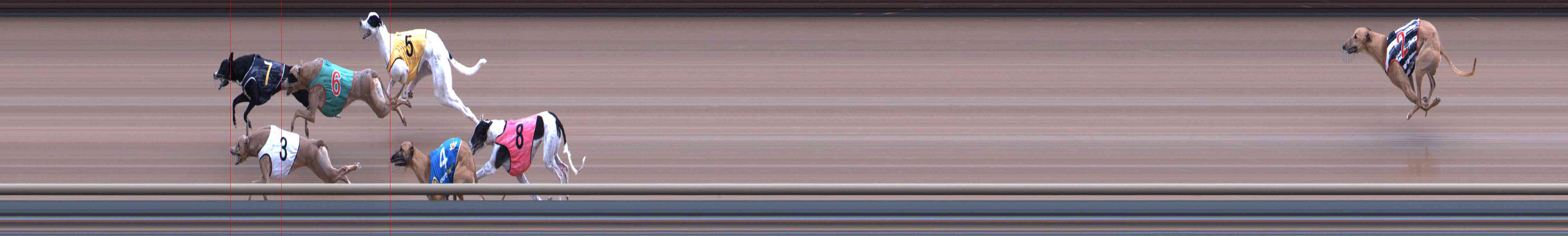 Photo finish for Healesville Race 7
