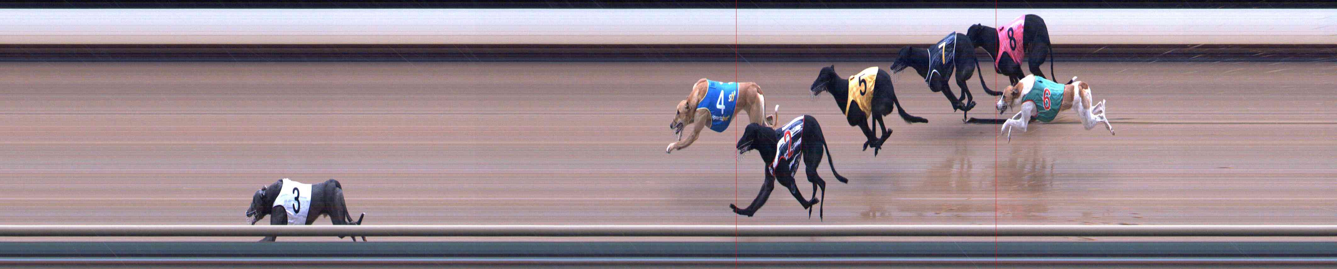 Photo finish for Healesville Race 8
