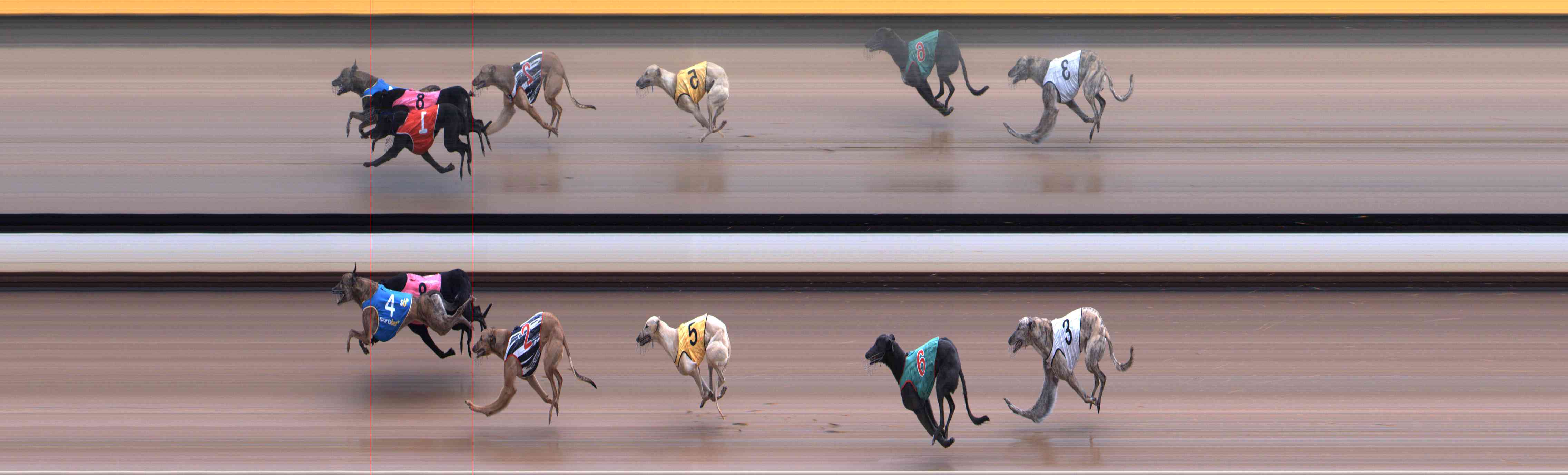 Photo finish for Healesville Race 9