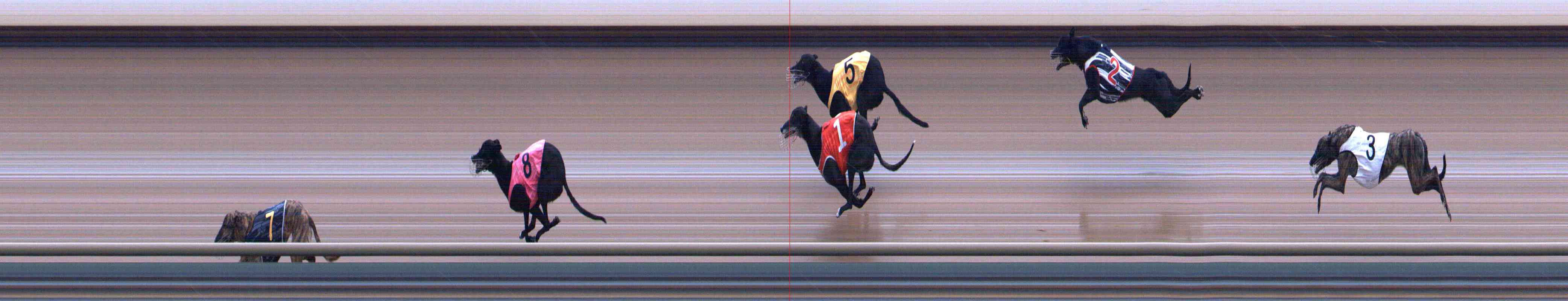 Photo finish for Healesville Race 10