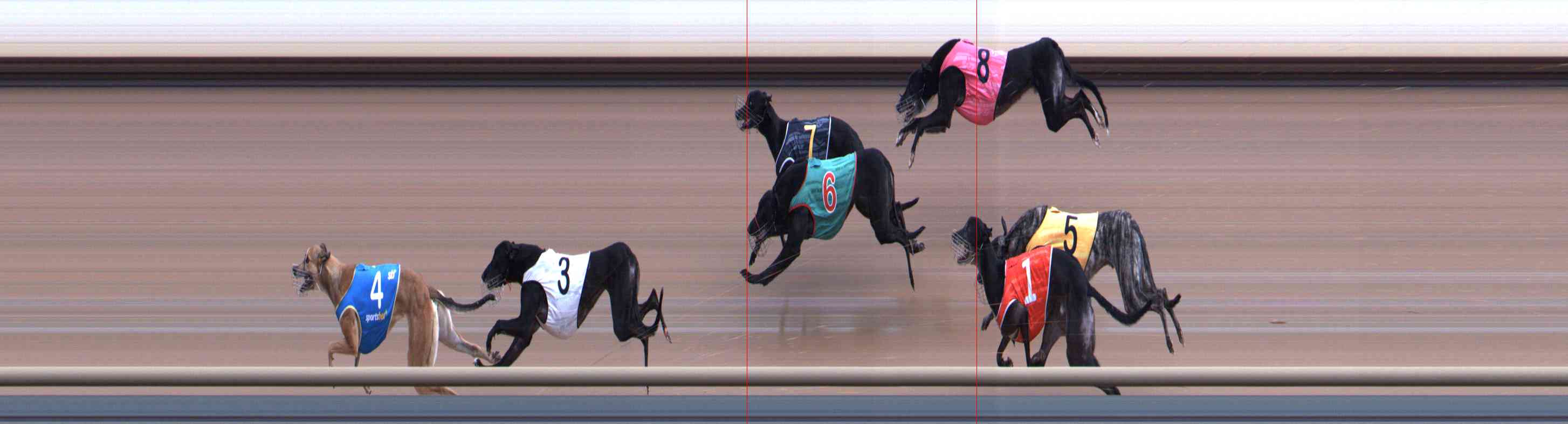 Photo finish for Healesville Race 11