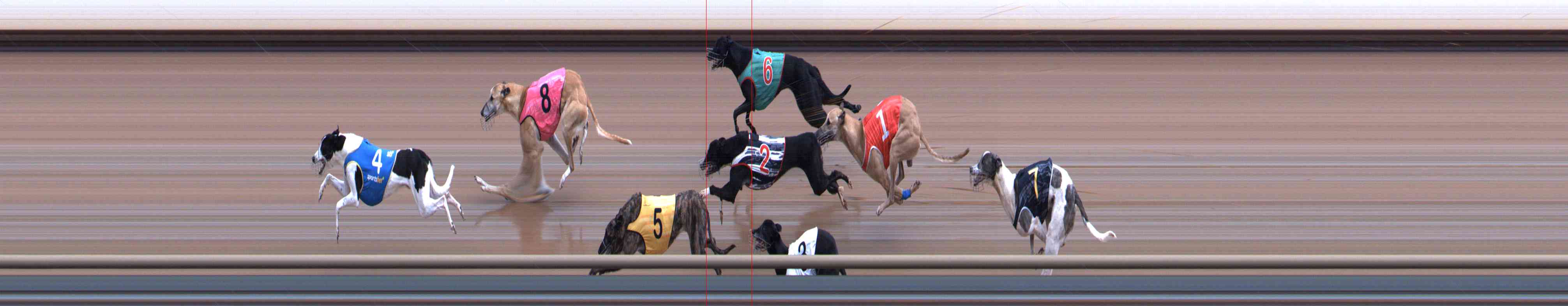 Photo finish for Healesville Race 12