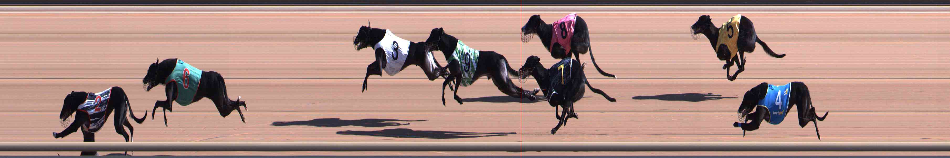 Photo finish for Healesville Race 1