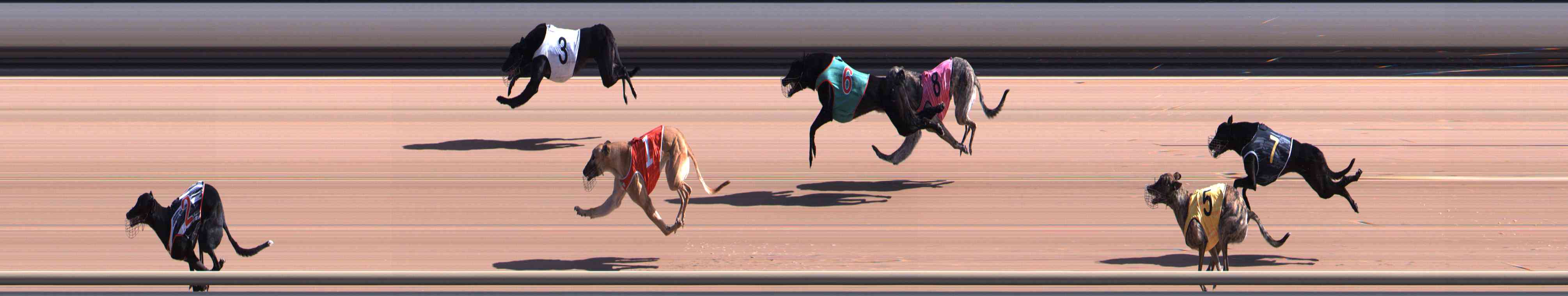 Photo finish for Healesville Race 2