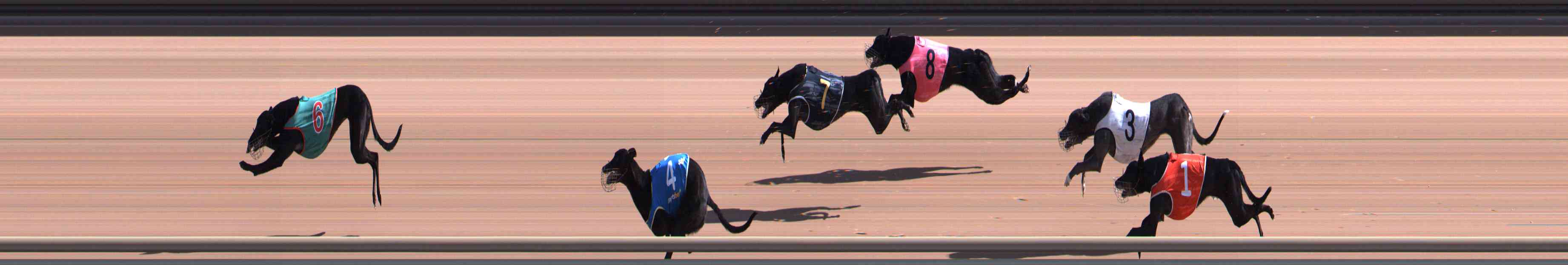 Photo finish for Healesville Race 3