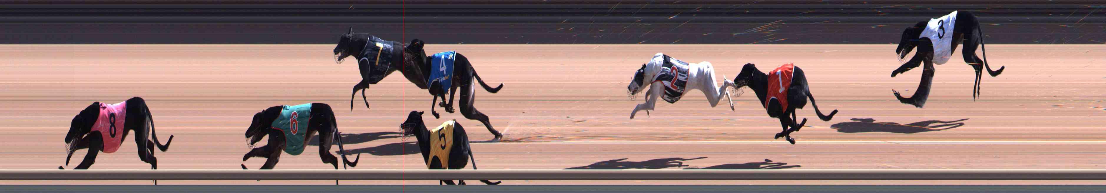 Photo finish for Healesville Race 4