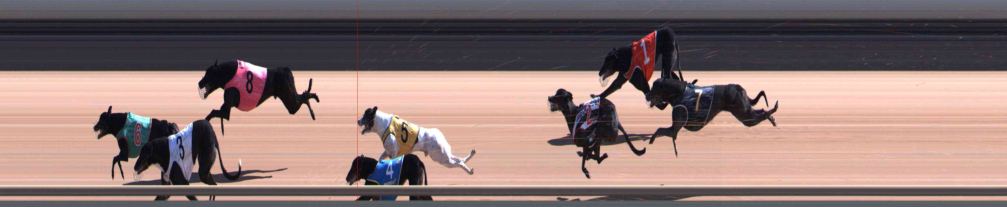 Photo finish for Healesville Race 5