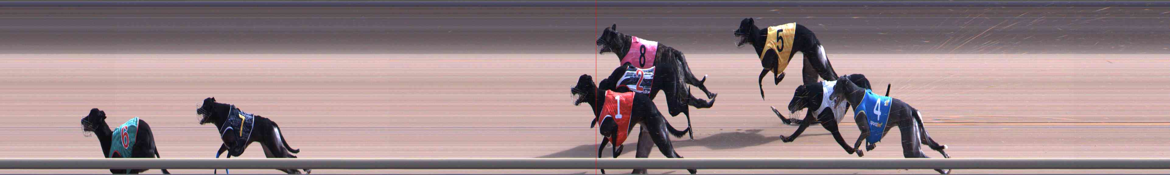 Photo finish for Healesville Race 6