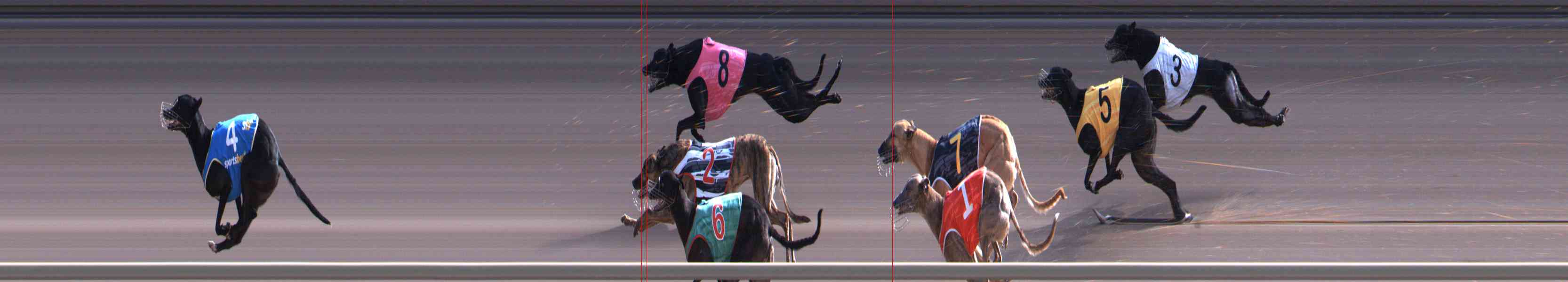 Photo finish for Healesville Race 8
