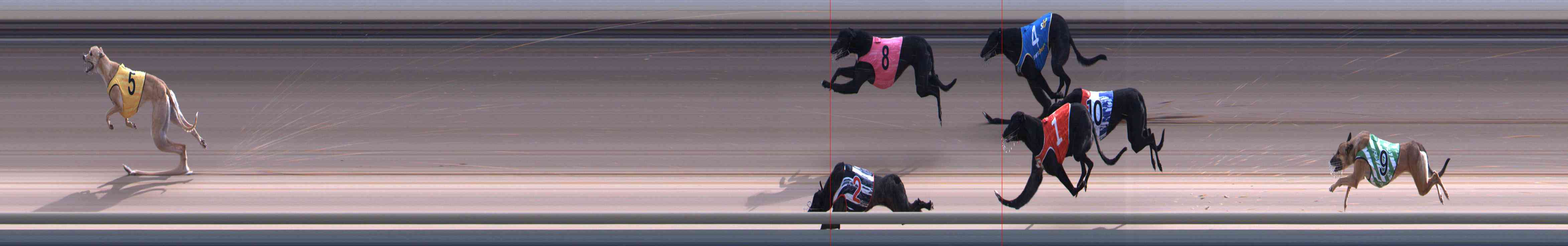 Photo finish for Healesville Race 10