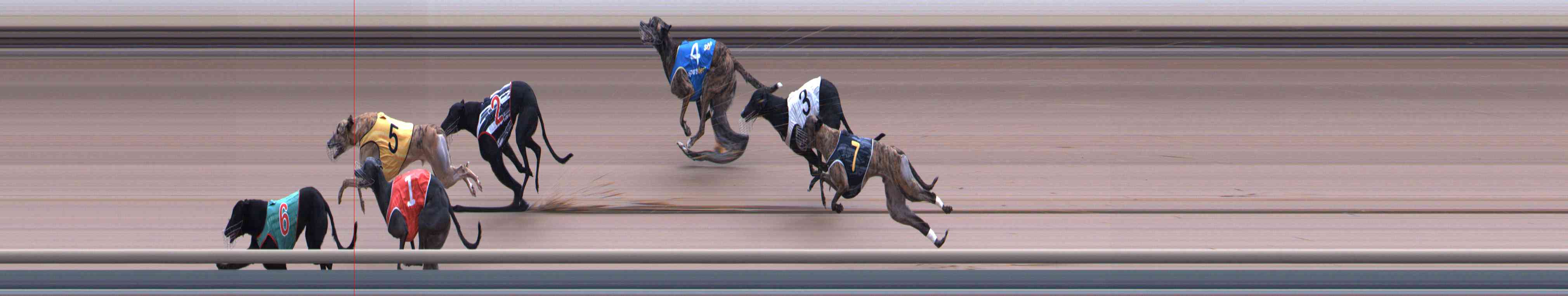 Photo finish for Healesville Race 11
