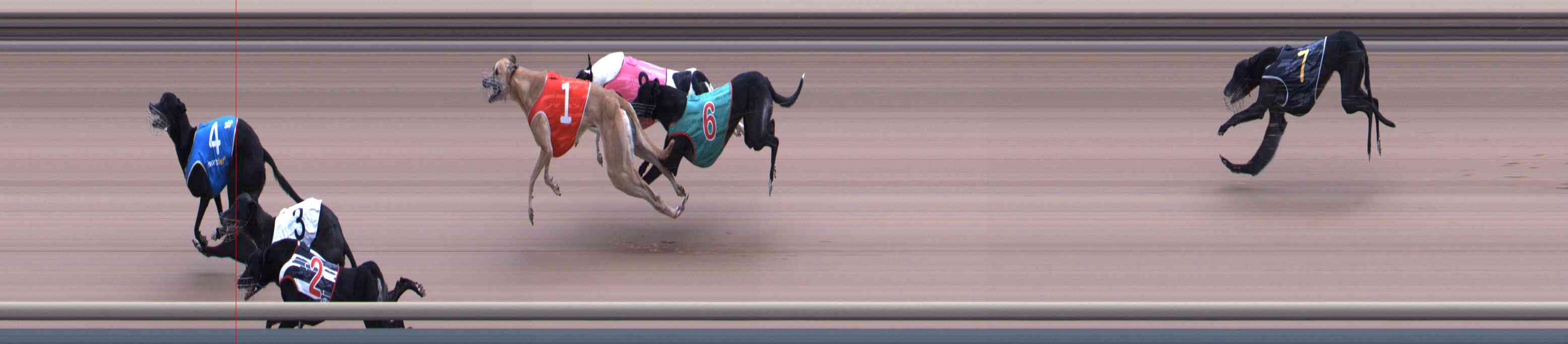 Photo finish for Healesville Race 12