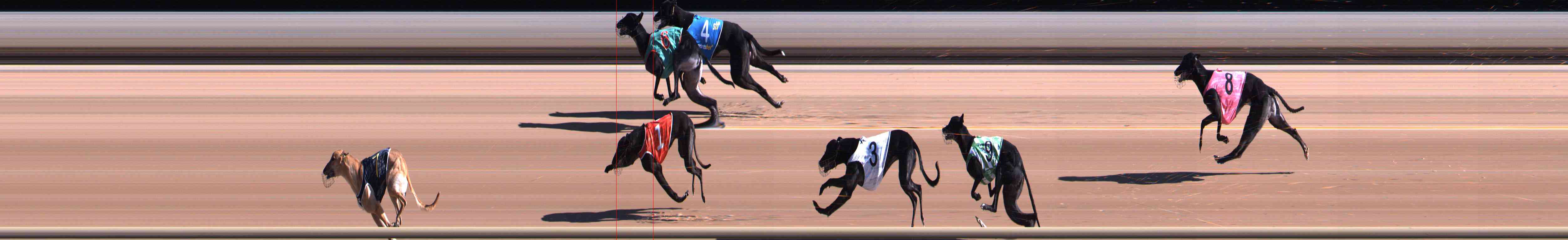 Photo finish for Healesville Race 2